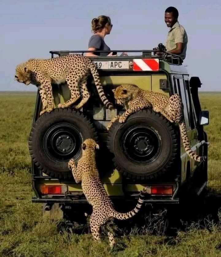 Introducing Voices of African Travel